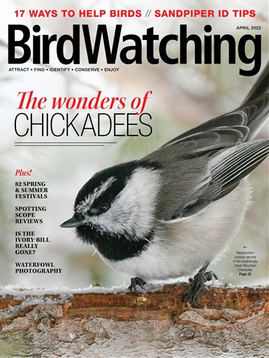 BirdWatching issue 
