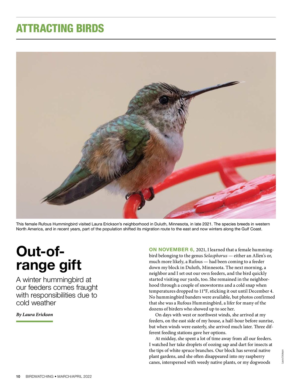 BirdWatching Preview Pages