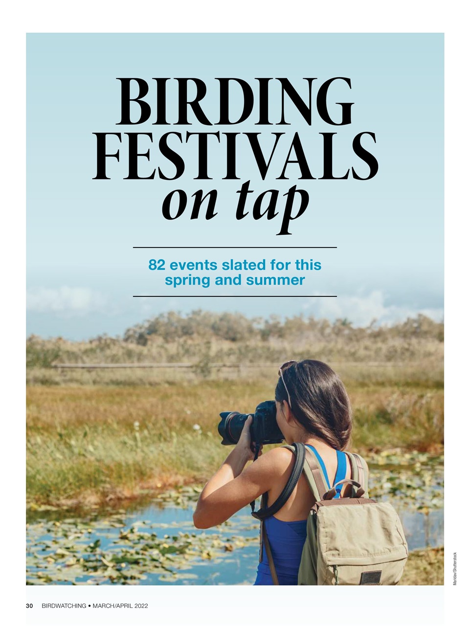 BirdWatching Preview Pages