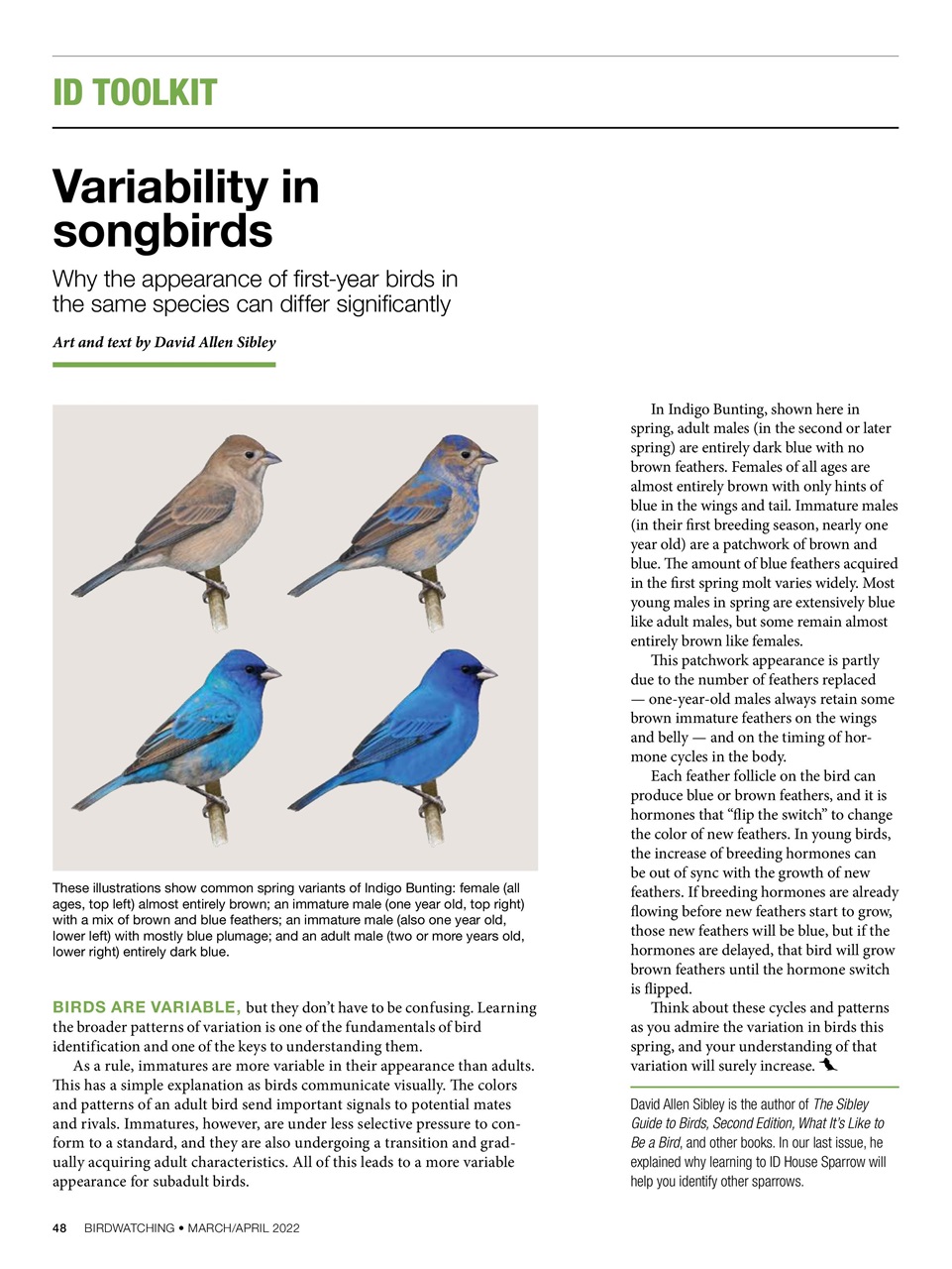 BirdWatching Preview Pages