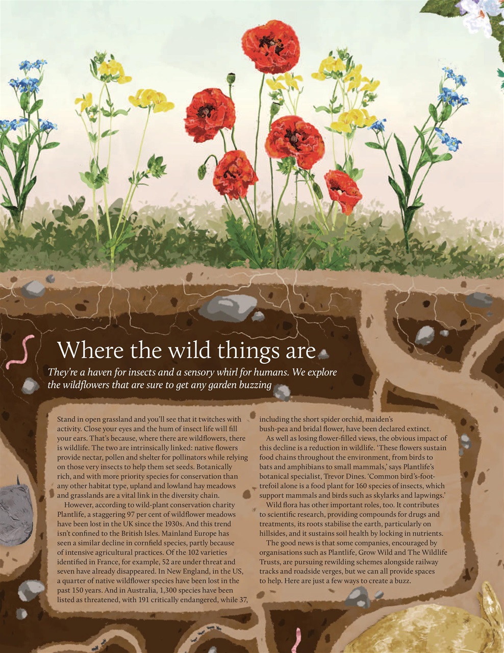 Breathe Preview Pages