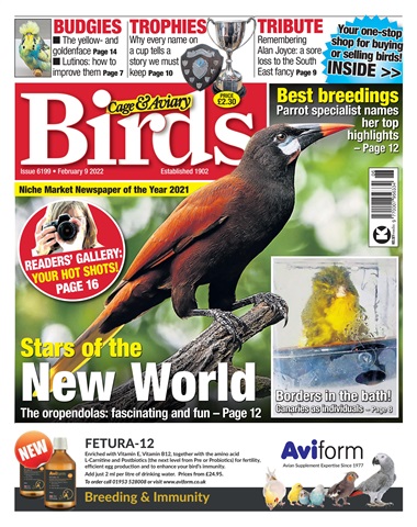 Cage & Aviary Birds issue Feb 9th 2022