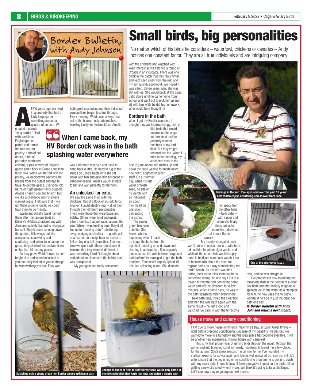 Cage & Aviary Birds Preview Pages