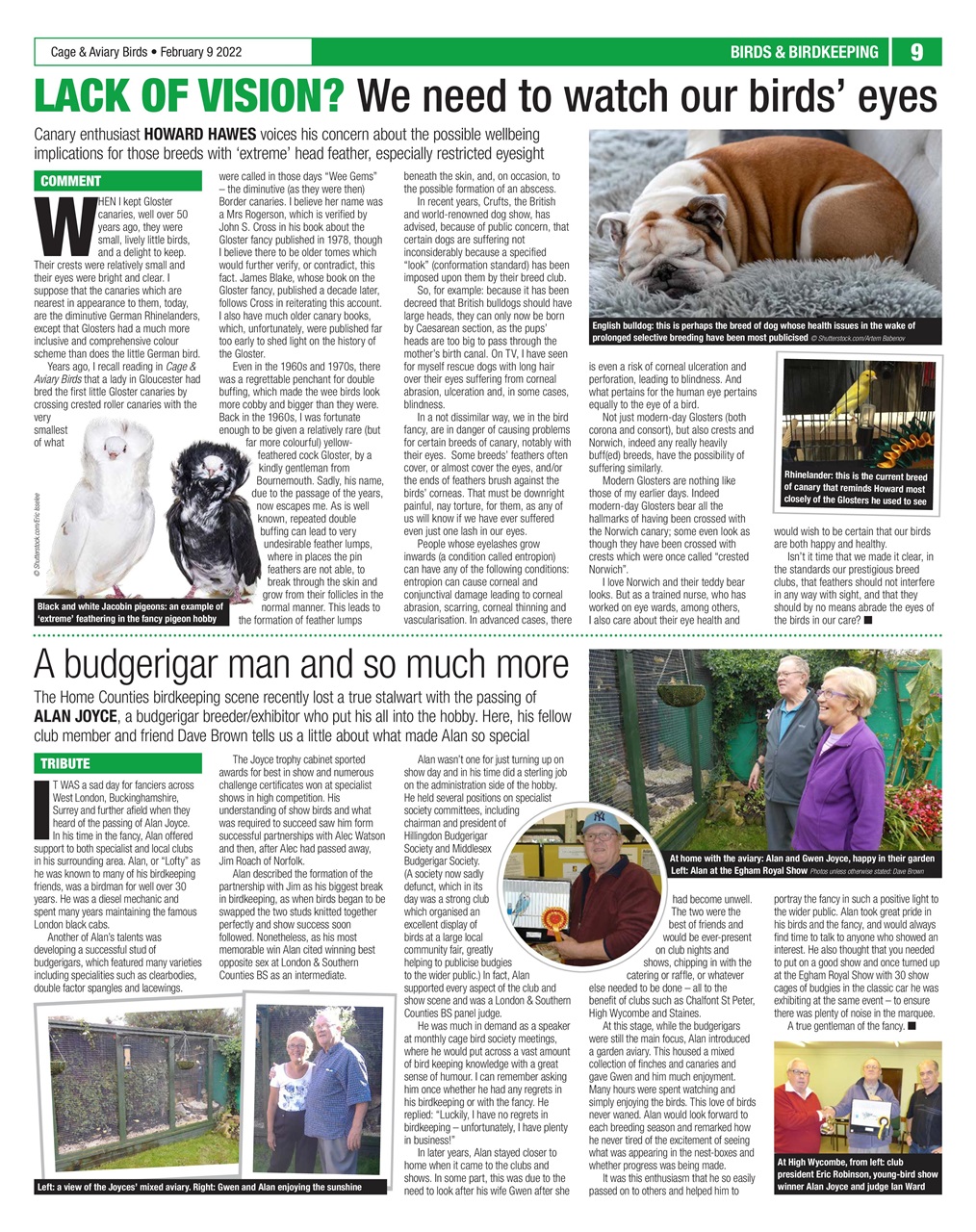 Cage & Aviary Birds Preview Pages