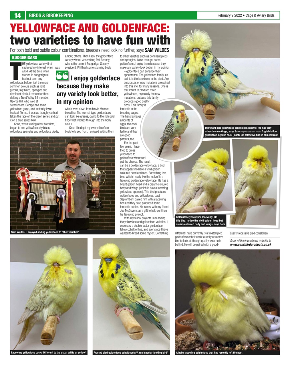 Cage & Aviary Birds Preview Pages