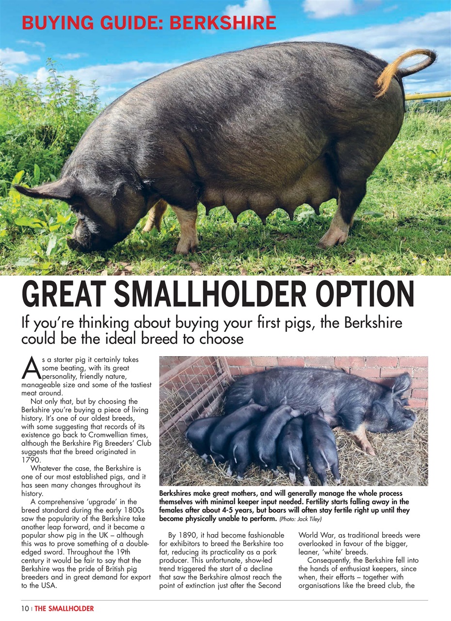 The Smallholder Preview Pages