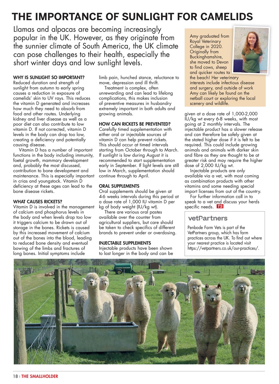 The Smallholder Preview Pages