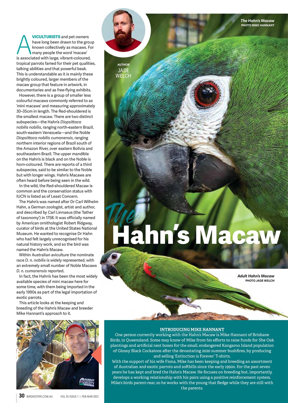 Australian Birdkeeper Magazine Preview Pages