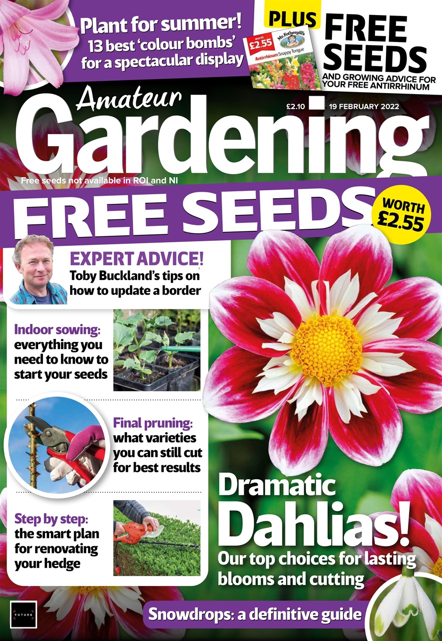 Amateur Gardening Preview Pages