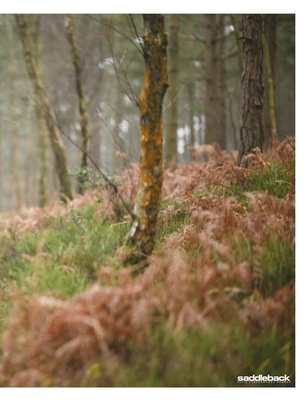 Singletrack Preview Pages