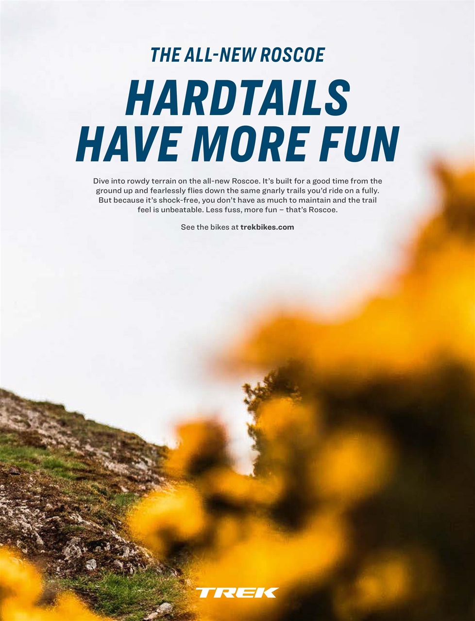 Singletrack Preview Pages