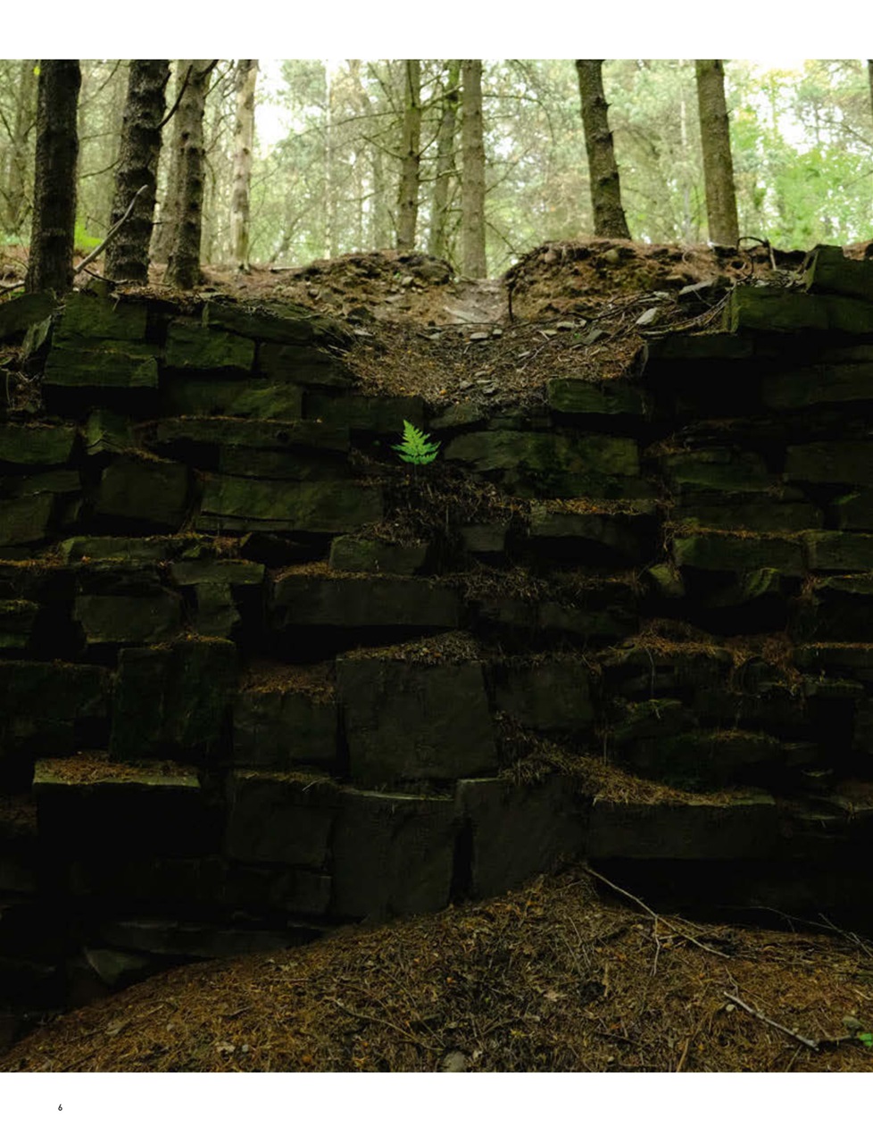 Singletrack Preview Pages