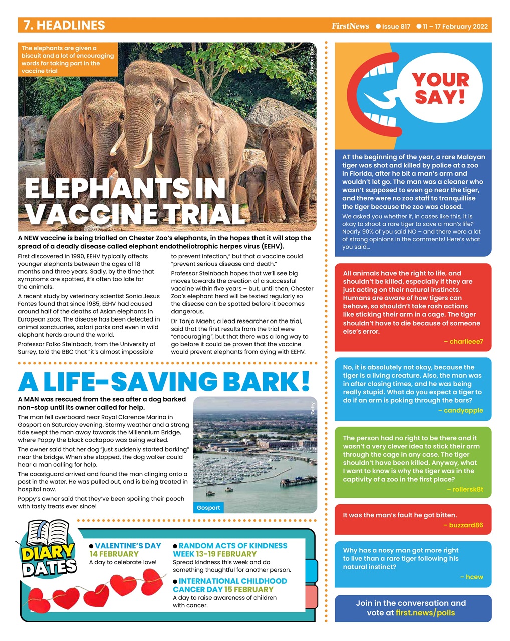 First News Preview Pages
