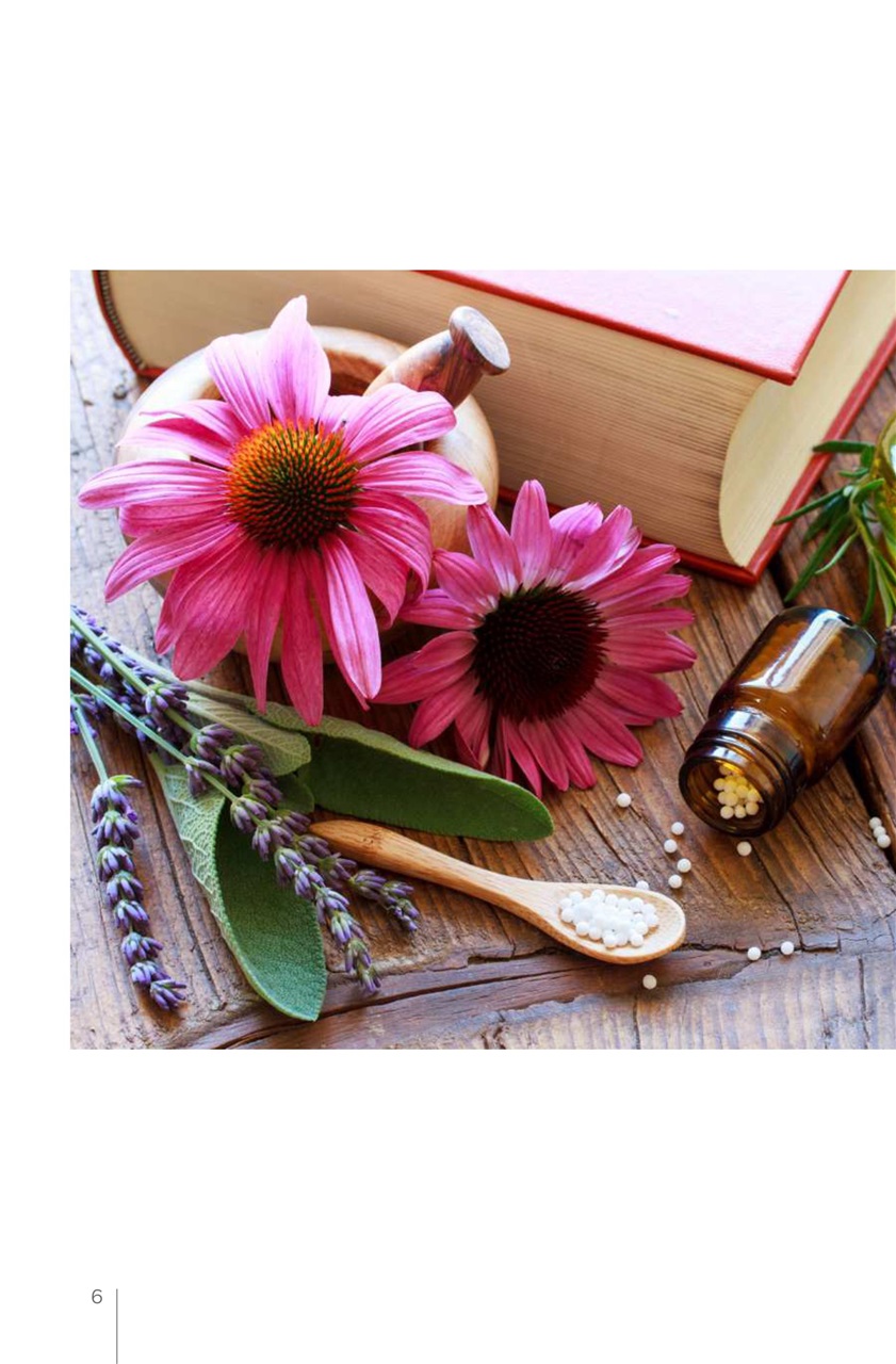 My Herbs Magazine Preview Pages