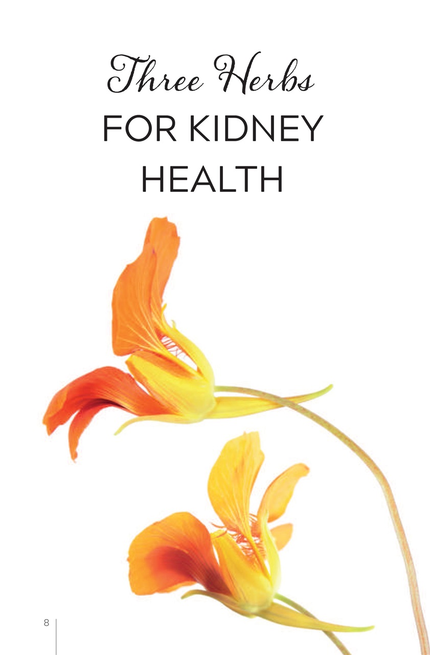 My Herbs Magazine Preview Pages