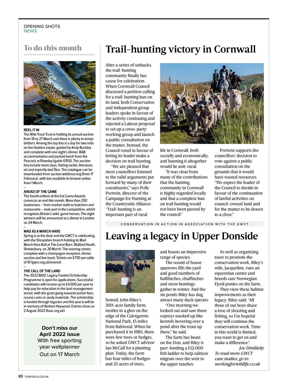 The Field Preview Pages