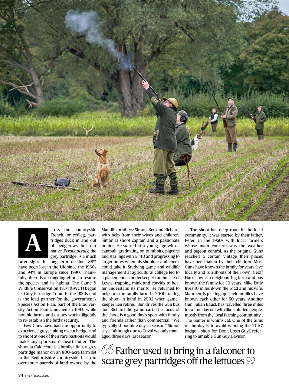 The Field Preview Pages