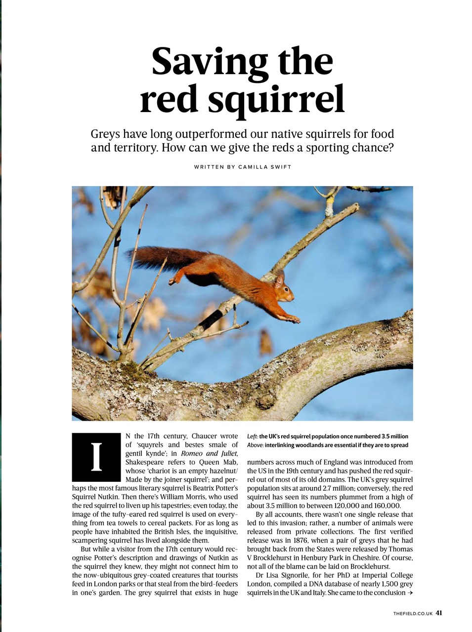 The Field Preview Pages