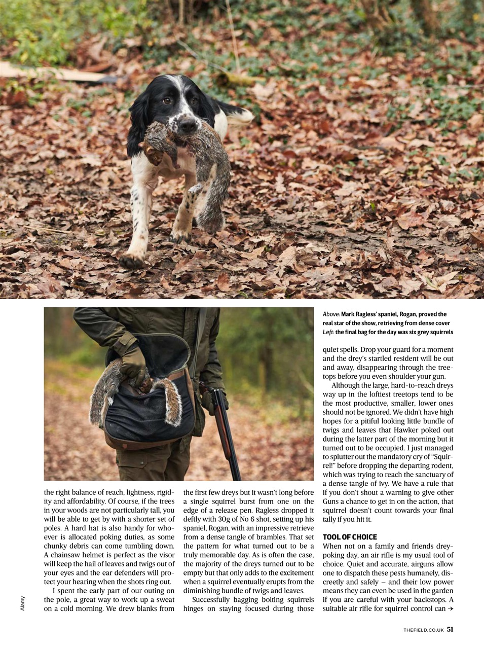 The Field Preview Pages