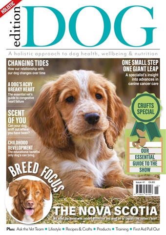 Edition Dog issue Edition Dog Issue 41