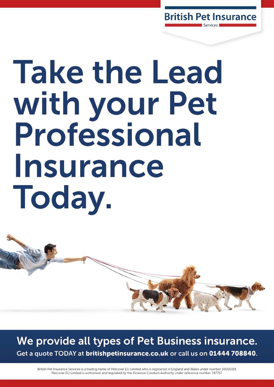 Edition Dog Preview Pages