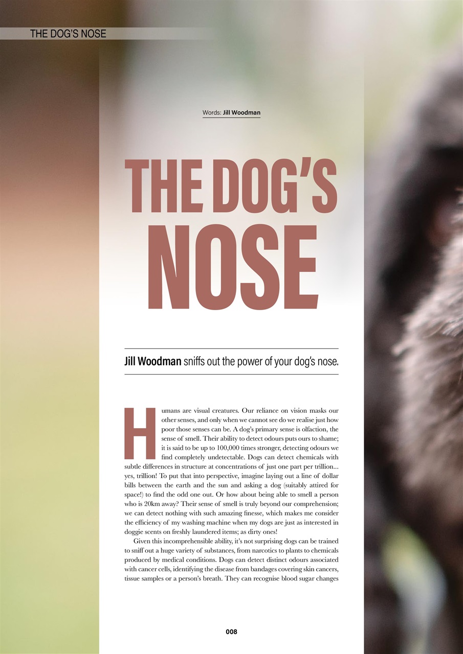 Edition Dog Preview Pages