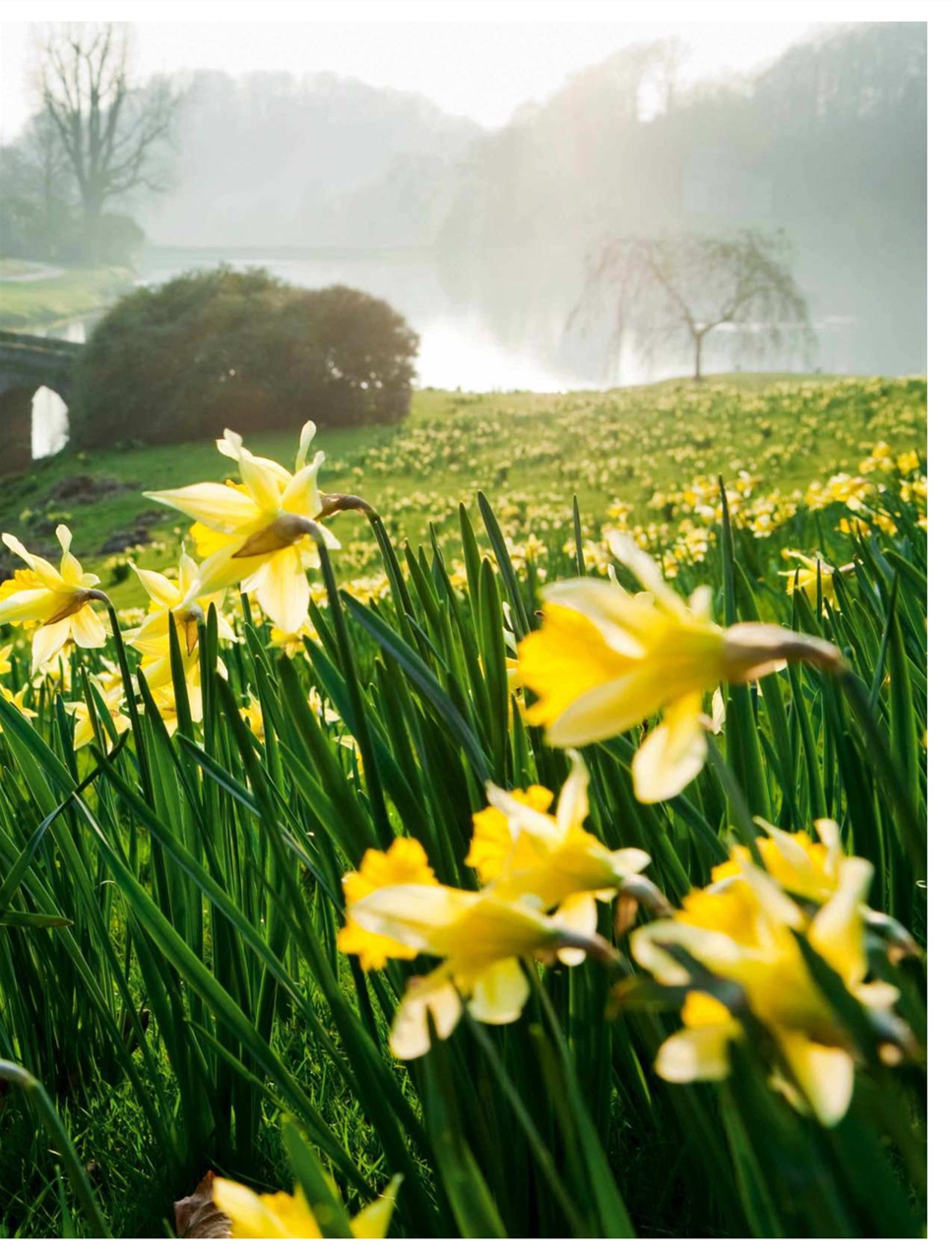 BBC Countryfile Magazine Preview Pages