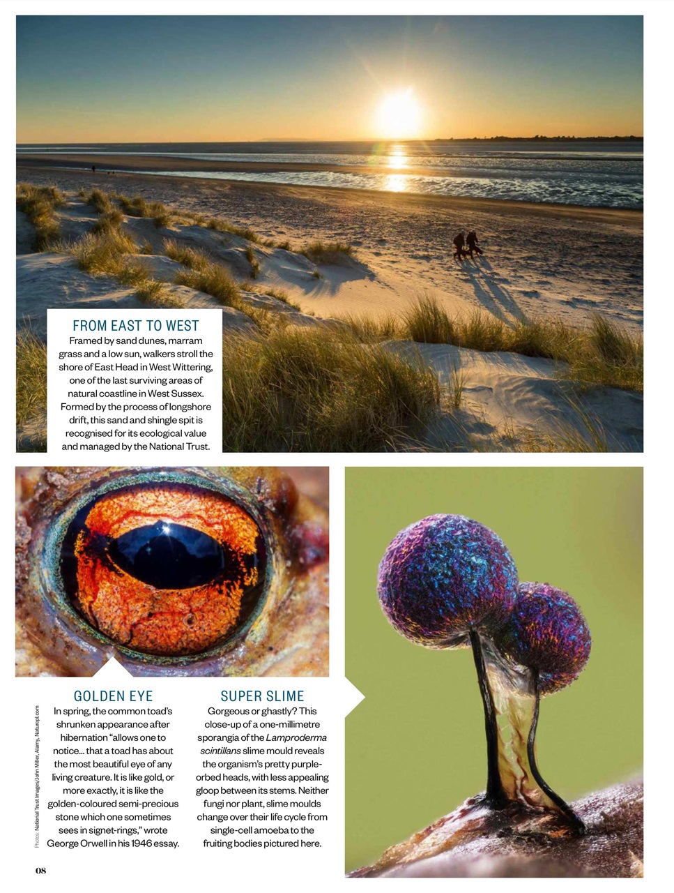 BBC Countryfile Magazine Preview Pages