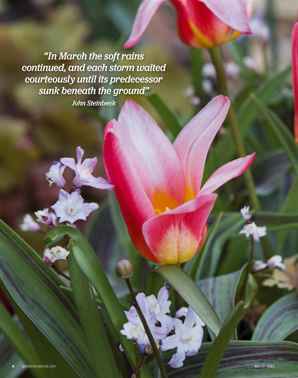 BBC Gardeners’ World Magazine Preview Pages