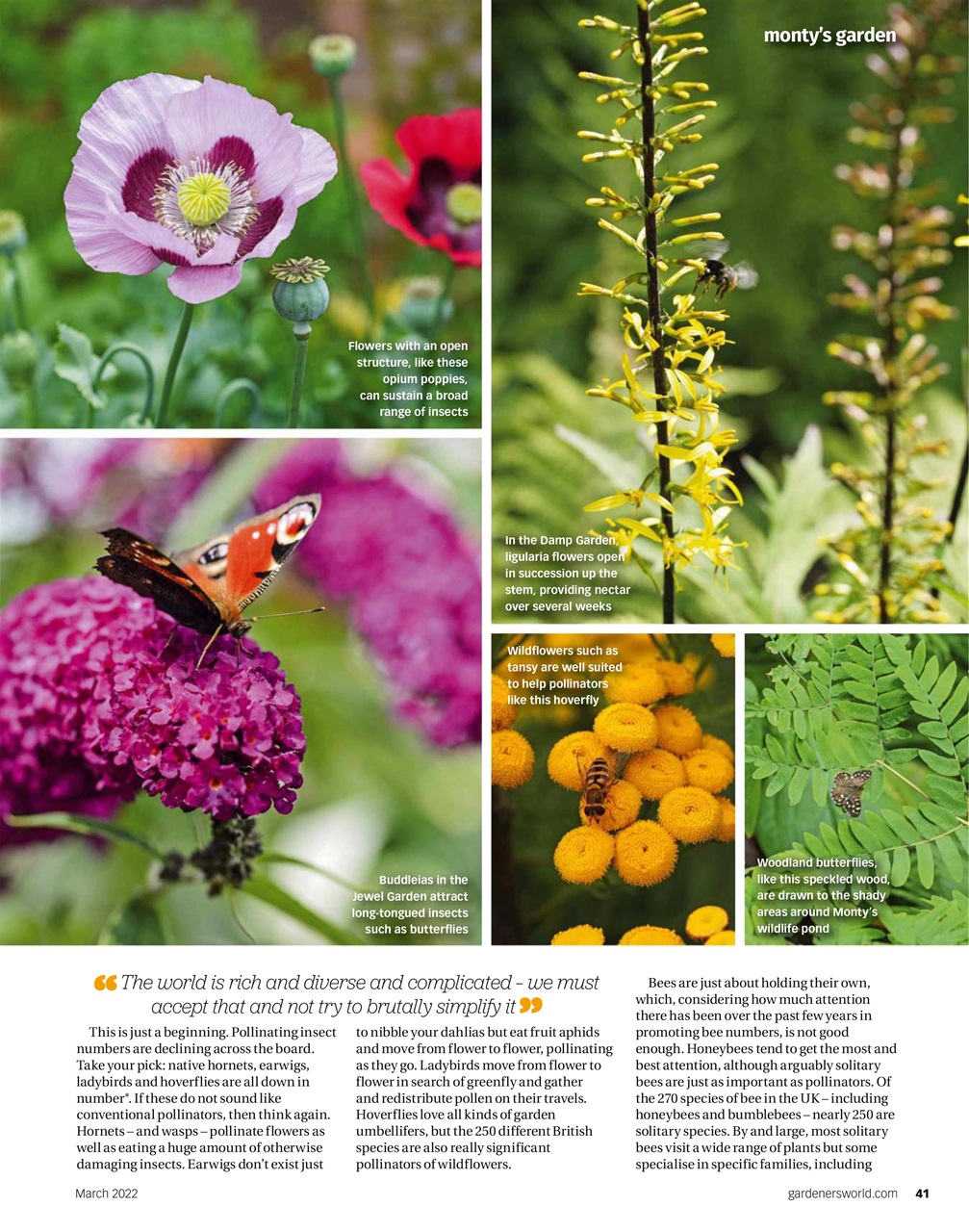 BBC Gardeners’ World Magazine Preview Pages