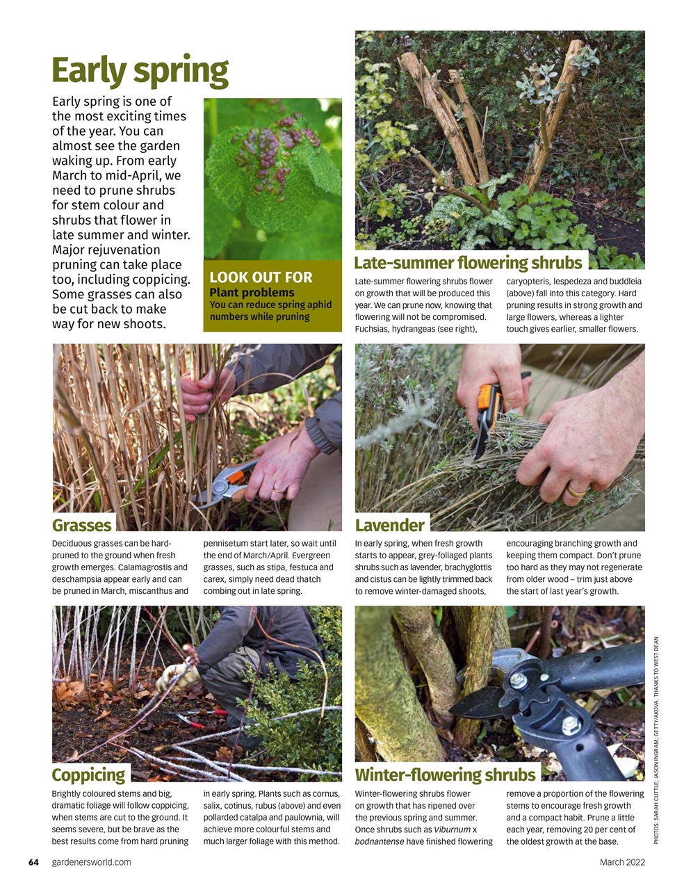 BBC Gardeners’ World Magazine Preview Pages