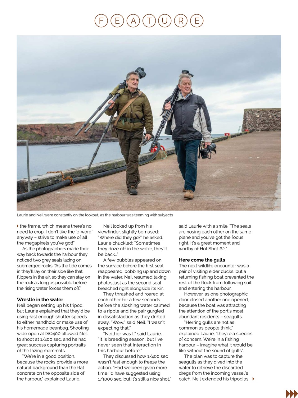 Photography Week Preview Pages