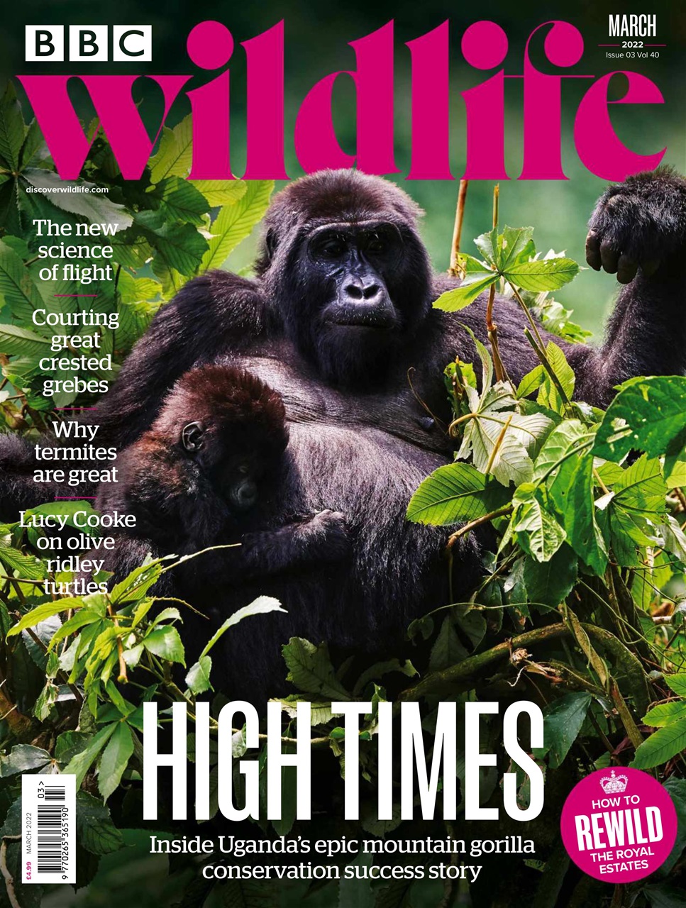 BBC Wildlife Magazine Preview Pages