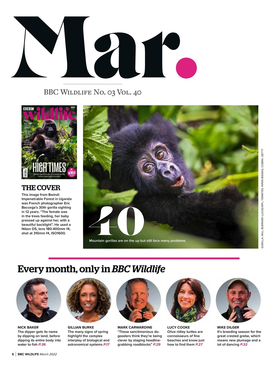 BBC Wildlife Magazine Preview Pages
