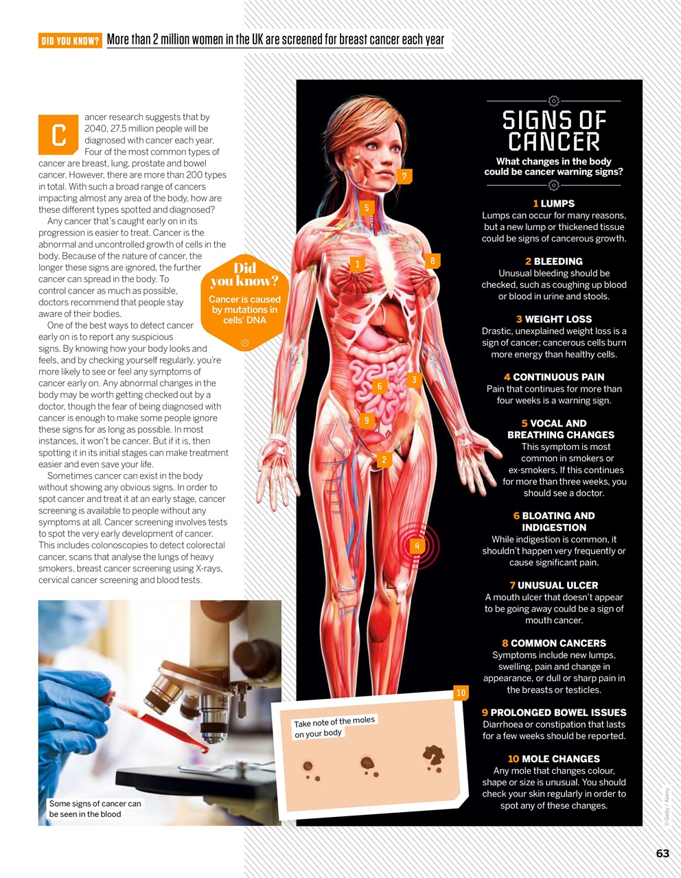 How It Works Preview Pages