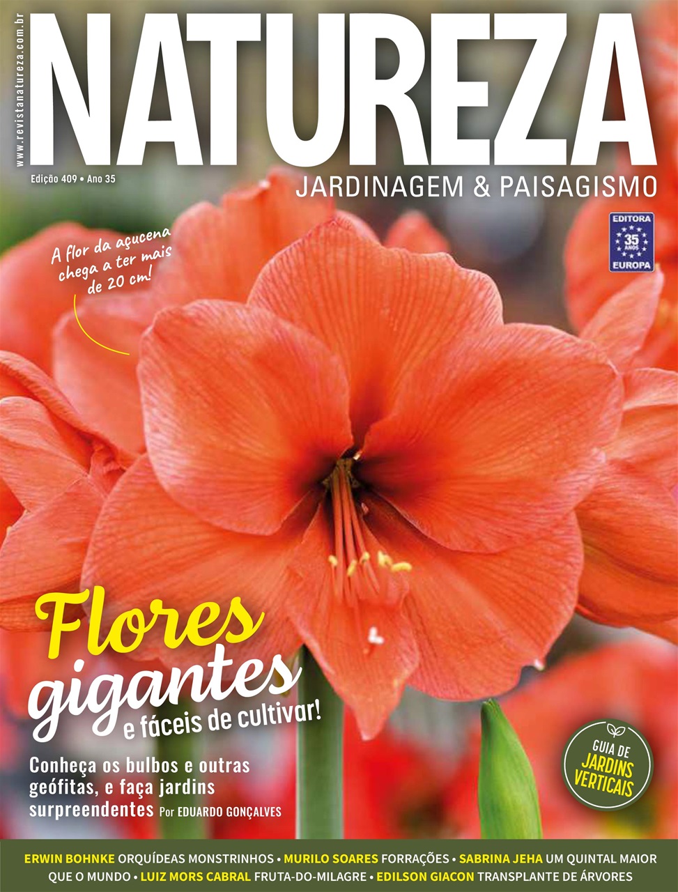 Natureza Preview Pages