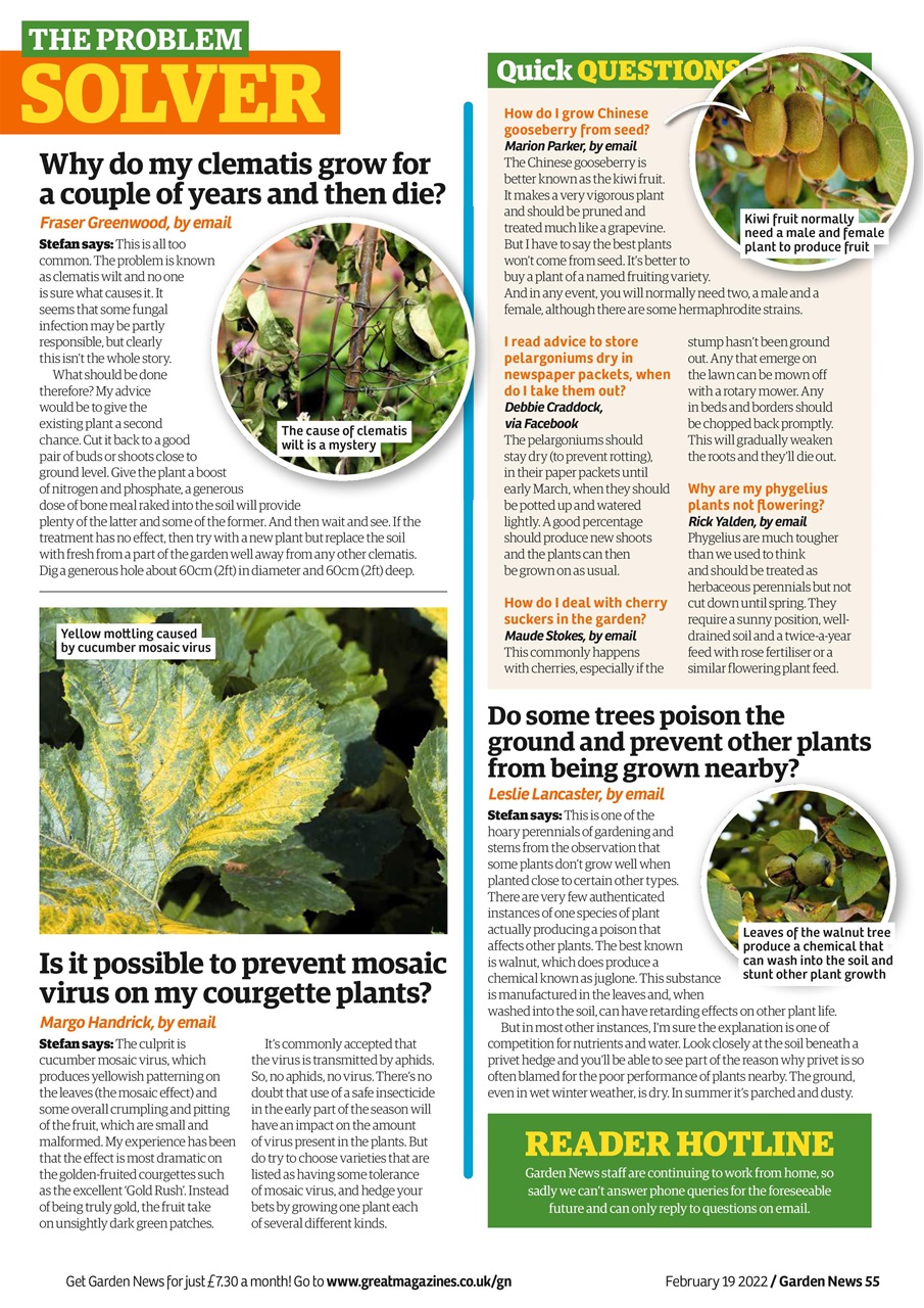 Garden News Preview Pages