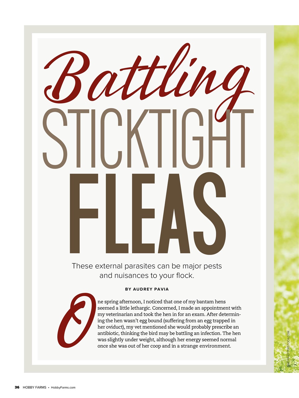 Hobby Farms Magazine Preview Pages