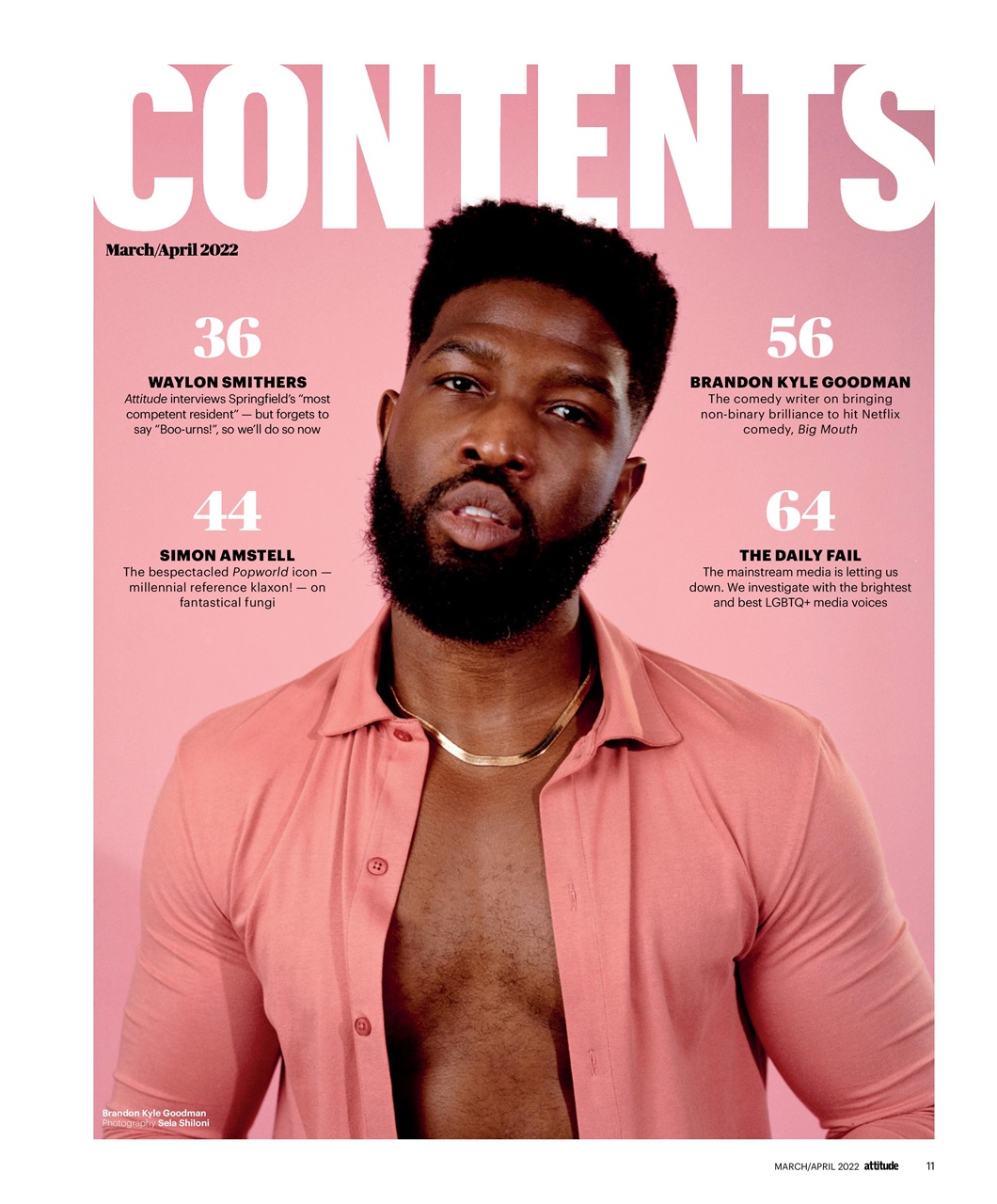 Attitude Preview Pages