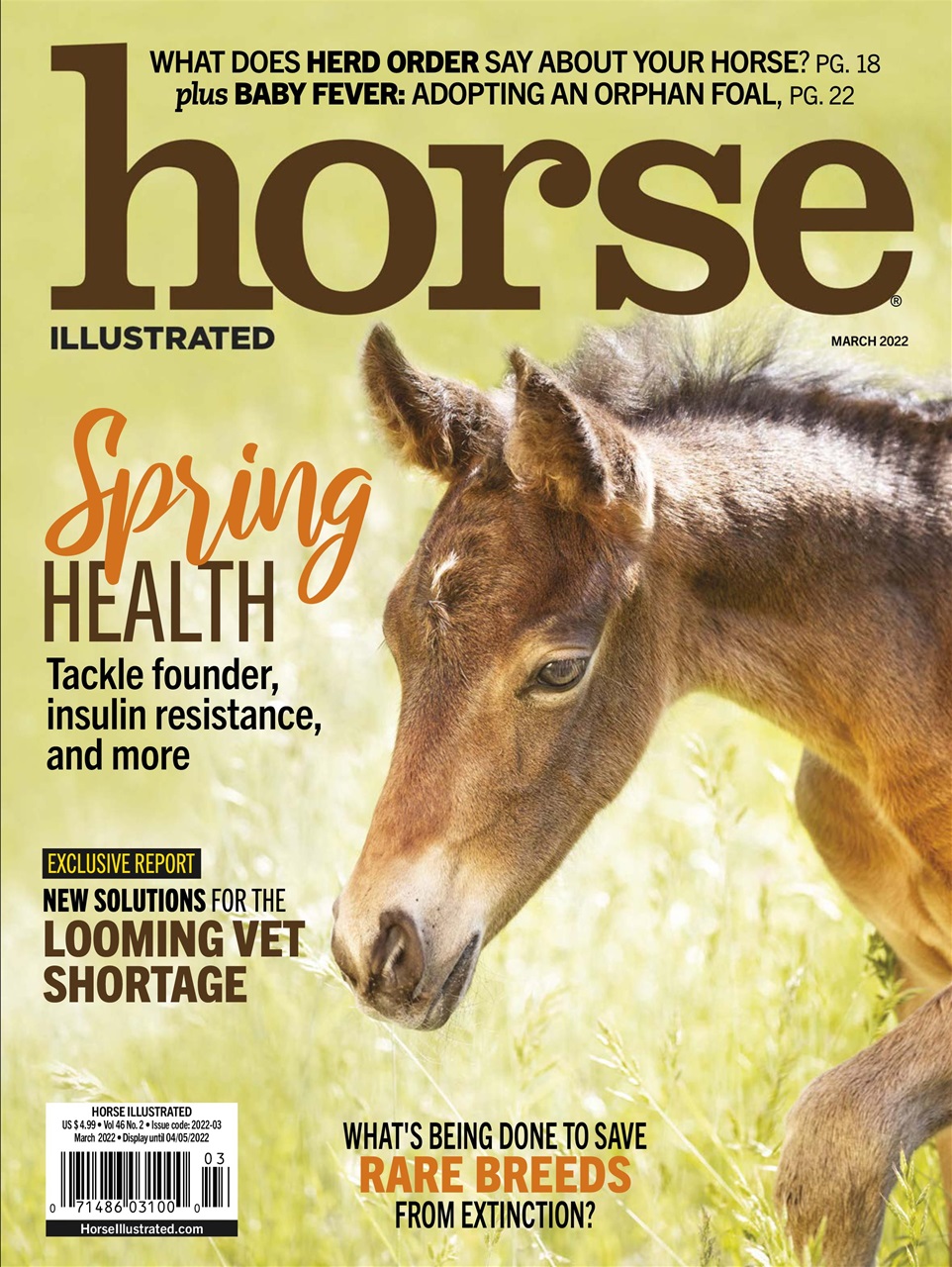 Horse Illustrated Magazine Preview Pages