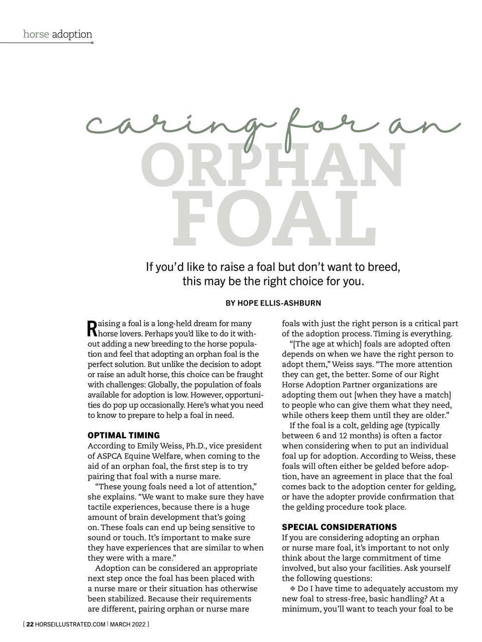 Horse Illustrated Magazine Preview Pages