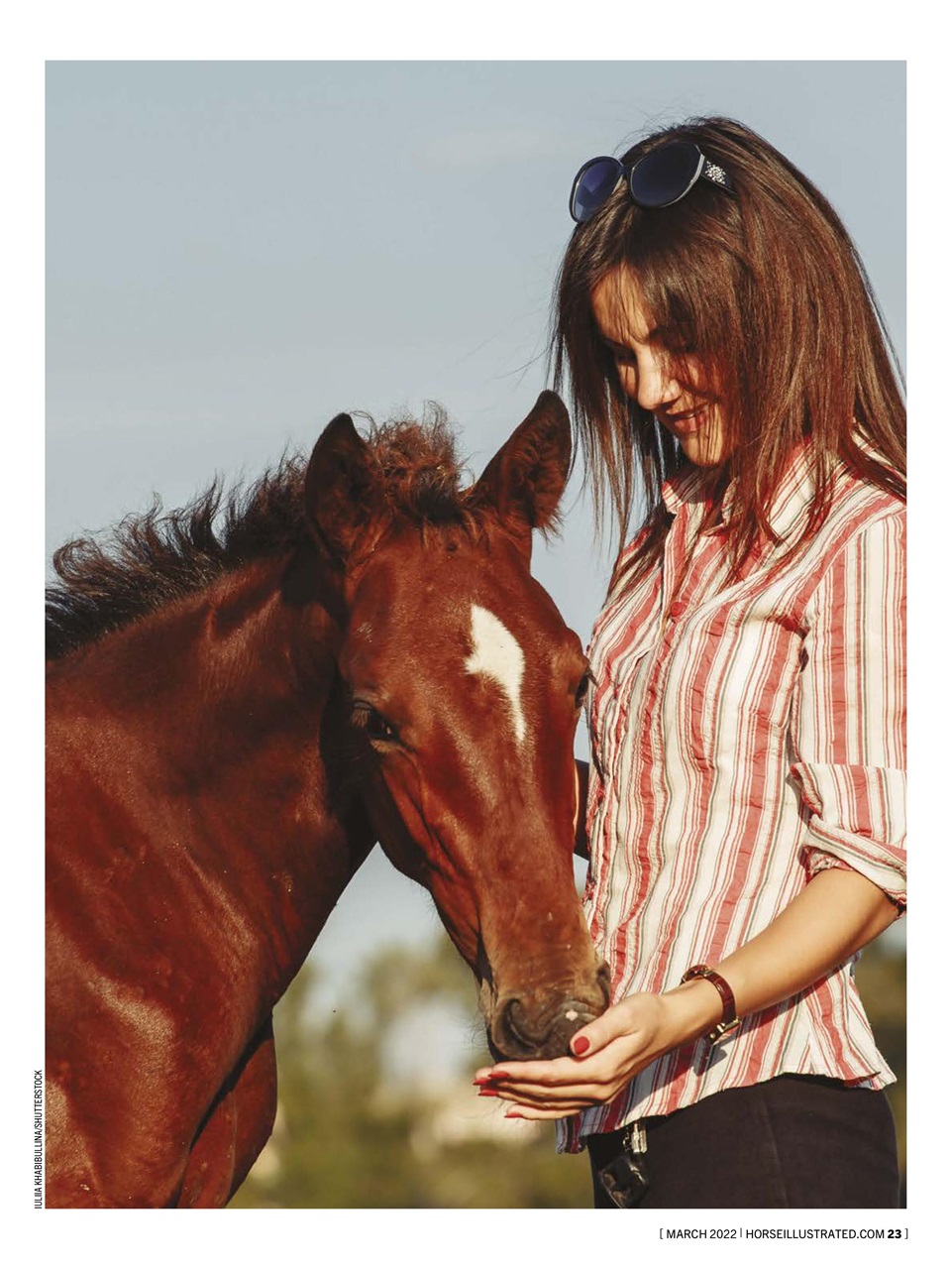 Horse Illustrated Magazine Preview Pages