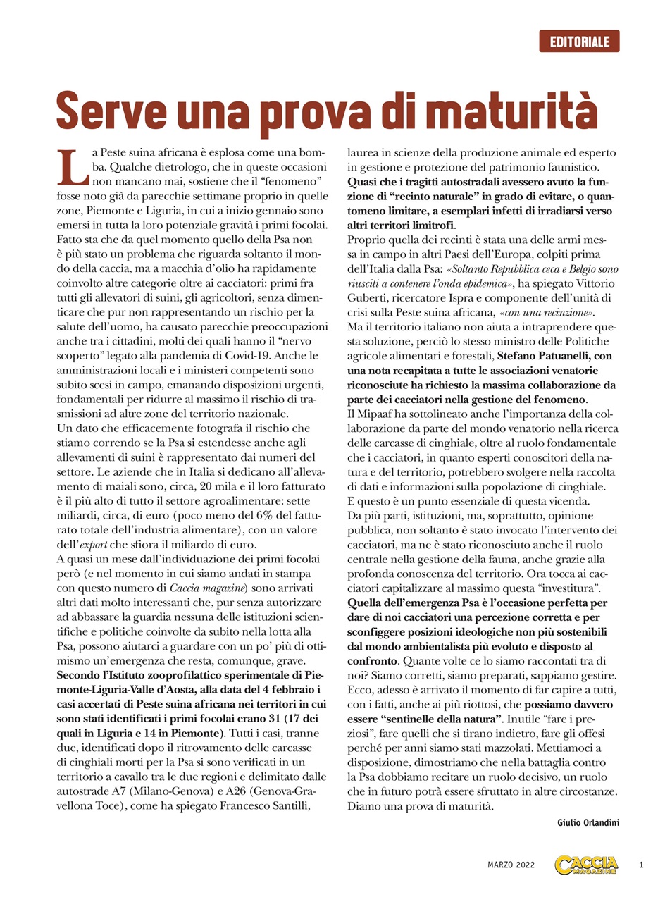 Caccia Magazine Preview Pages