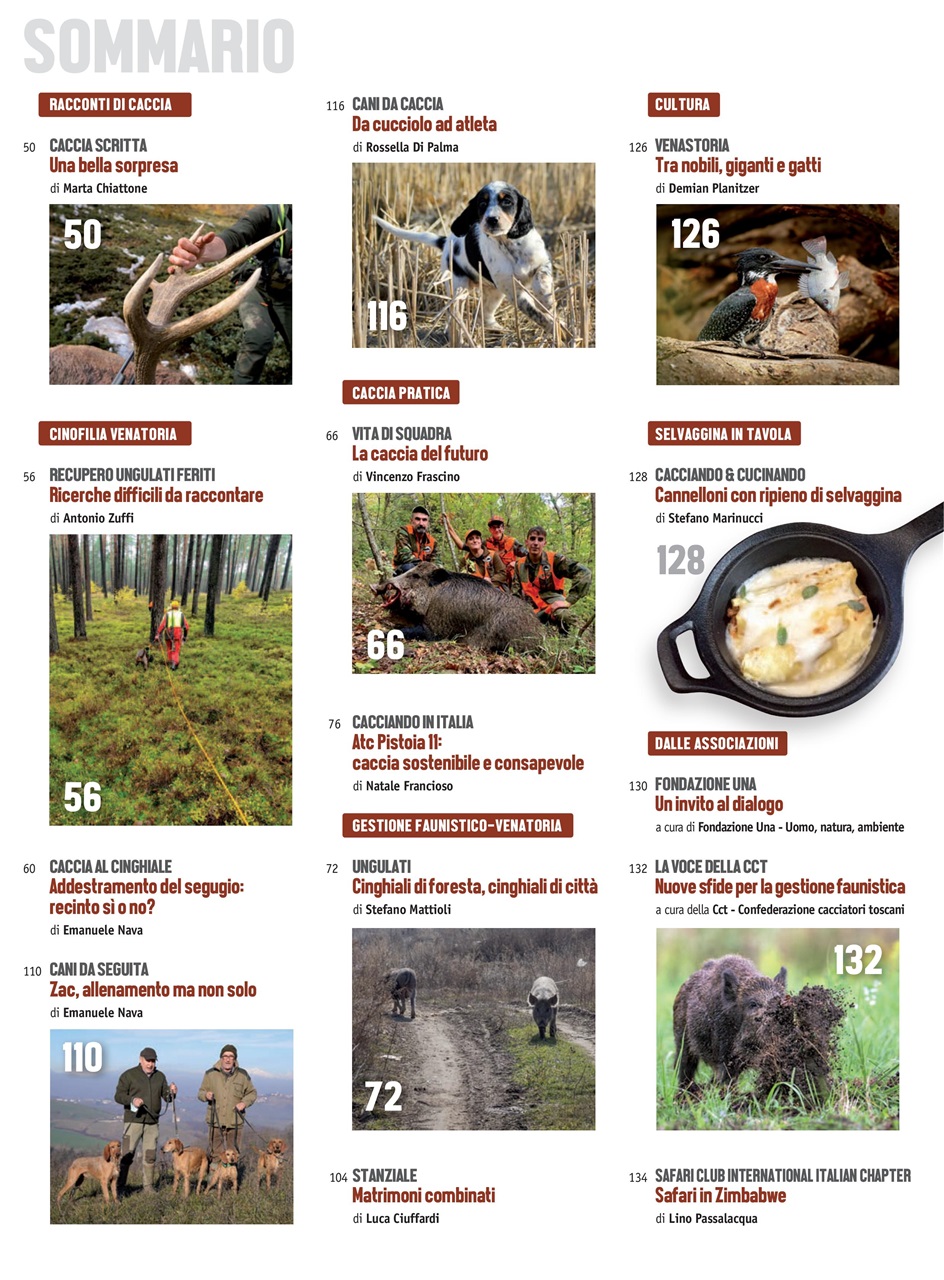 Caccia Magazine Preview Pages