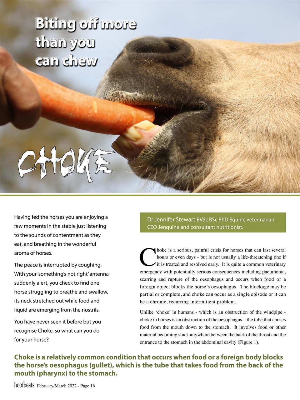 Hoofbeats Preview Pages