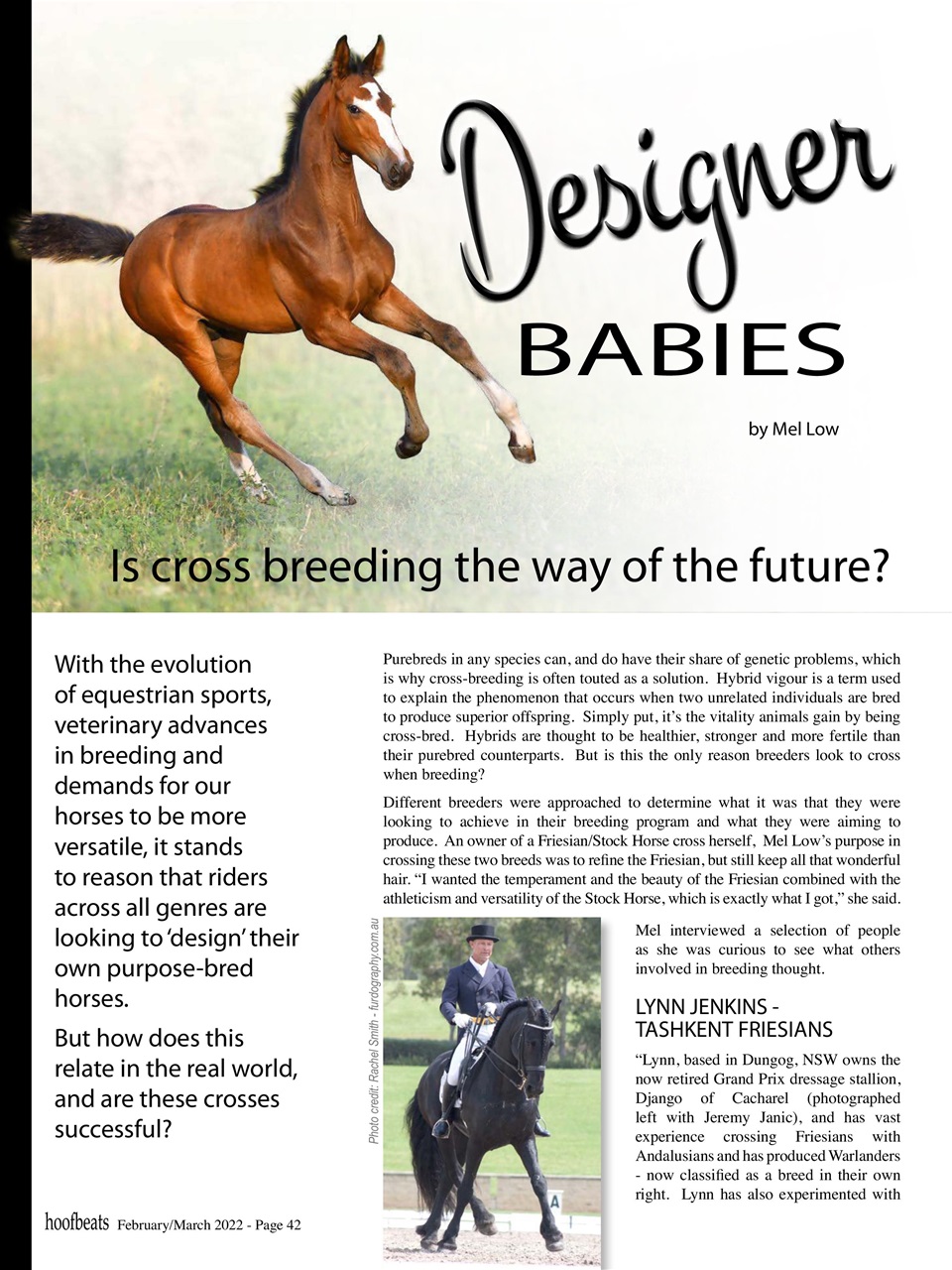 Hoofbeats Preview Pages