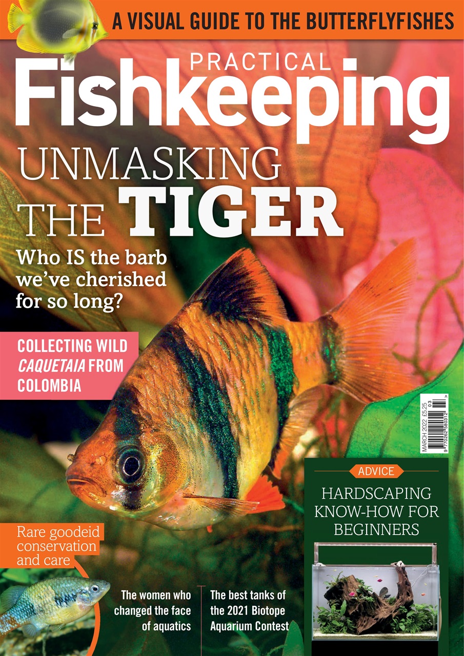 Practical Fishkeeping Preview Pages