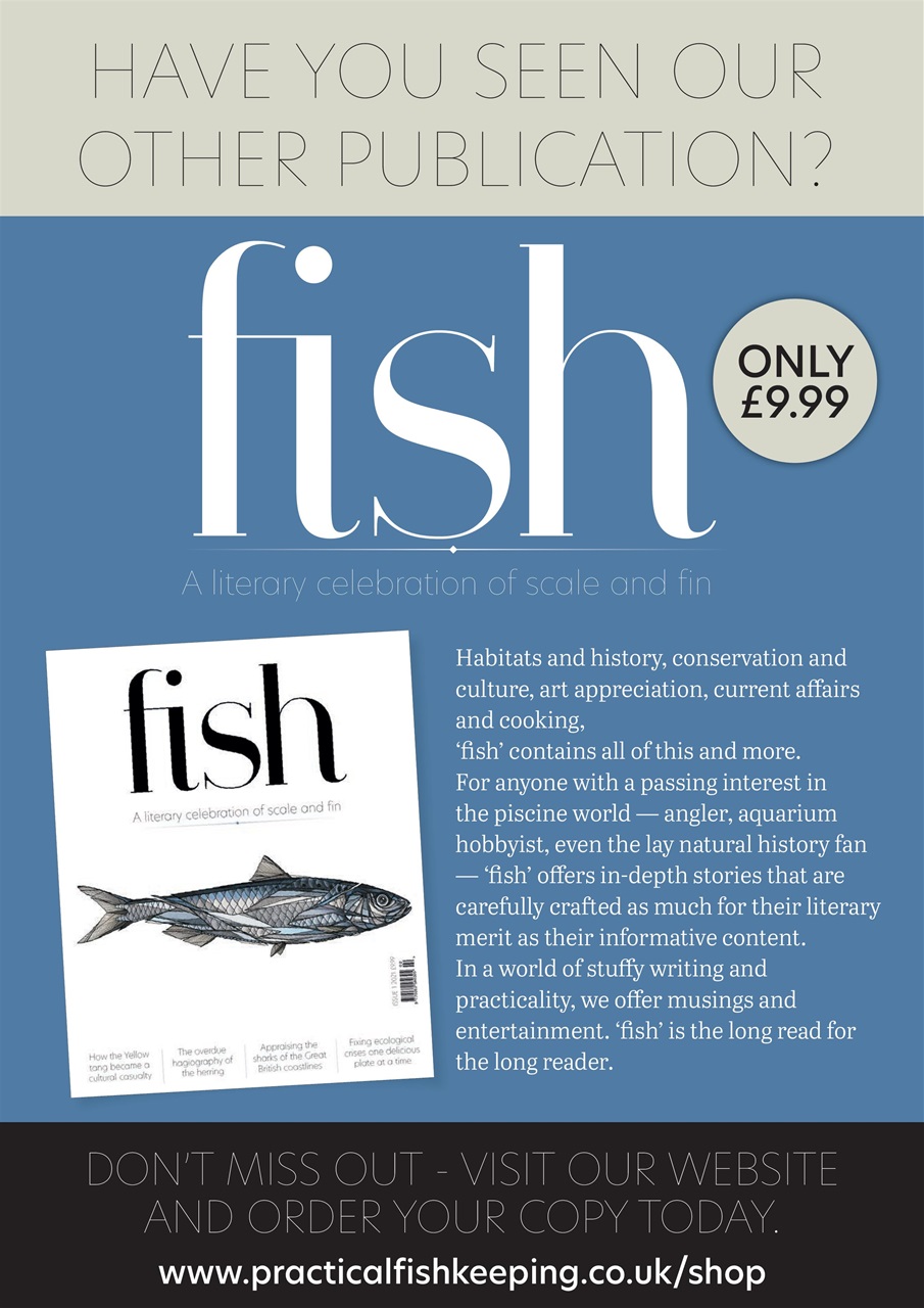 Practical Fishkeeping Preview Pages