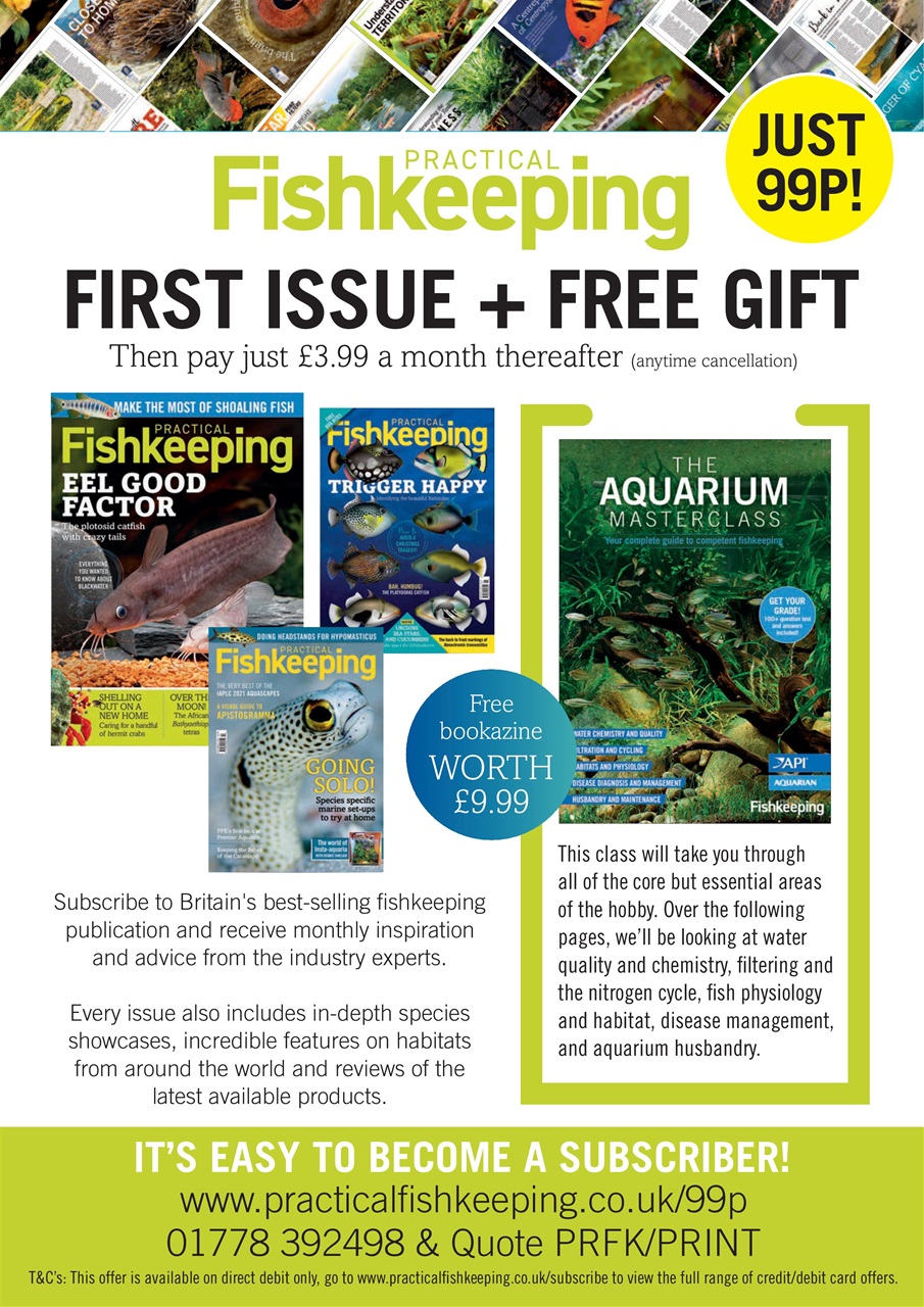 Practical Fishkeeping Preview Pages