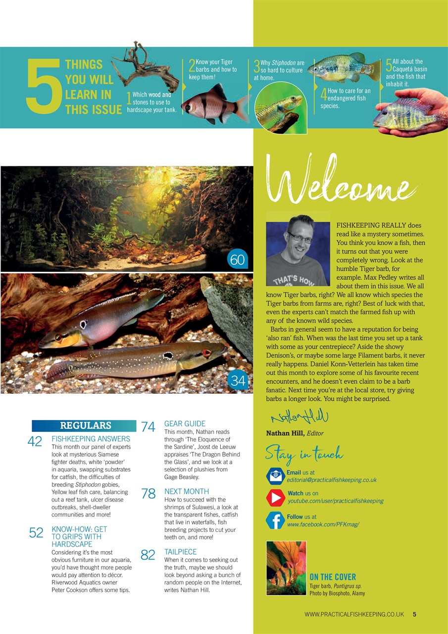 Practical Fishkeeping Preview Pages